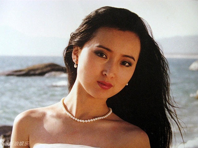 Ngoài Hồng Lâu Mộng, Trần Hiểu Húc còn tham gia một số bộ phim khác như Gia Xuân Thu (1987) hay Gia Phong (1982) và bộ phim điện ảnh Nho đen (1990).  