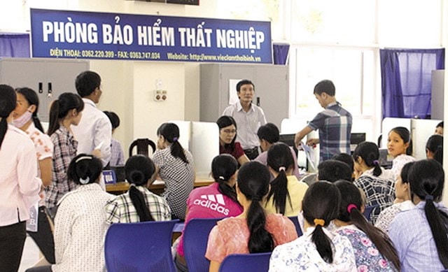 Nữ công nhân may ở Thái Bình vừa bị khởi tố vì hành vi gian dối hồ sơ để hưởng trợ cấp bảo hiểm thất nghiệp.
