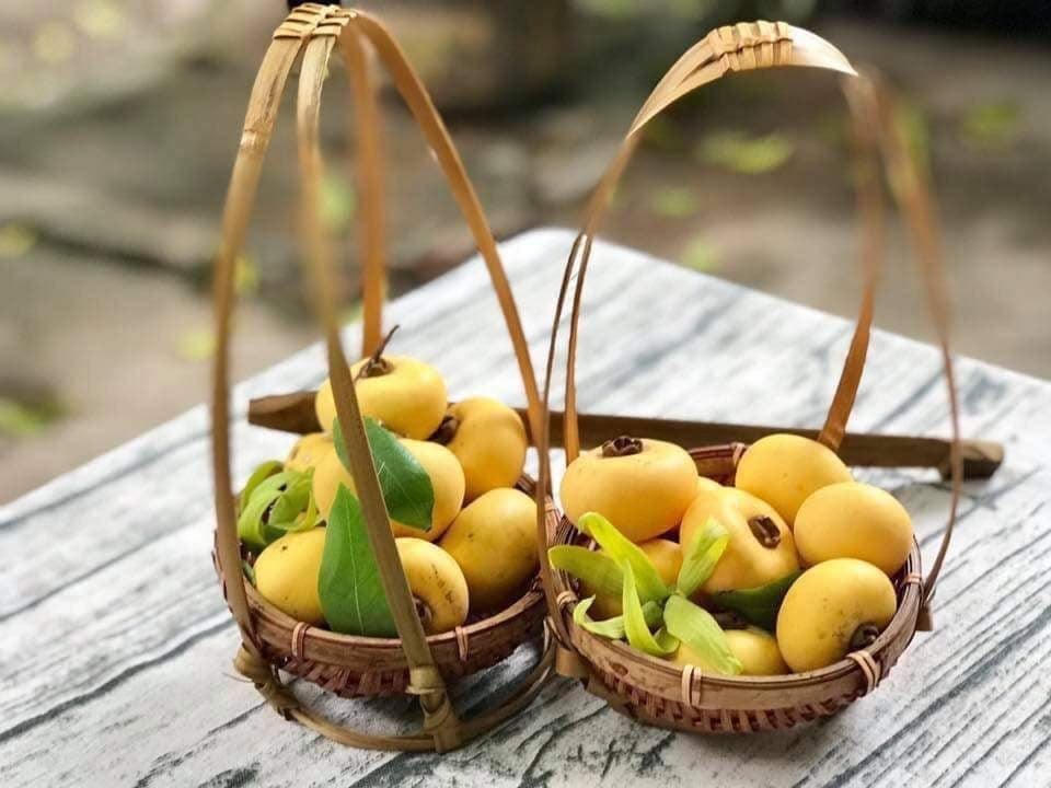 Những trái thị vàng ươm.