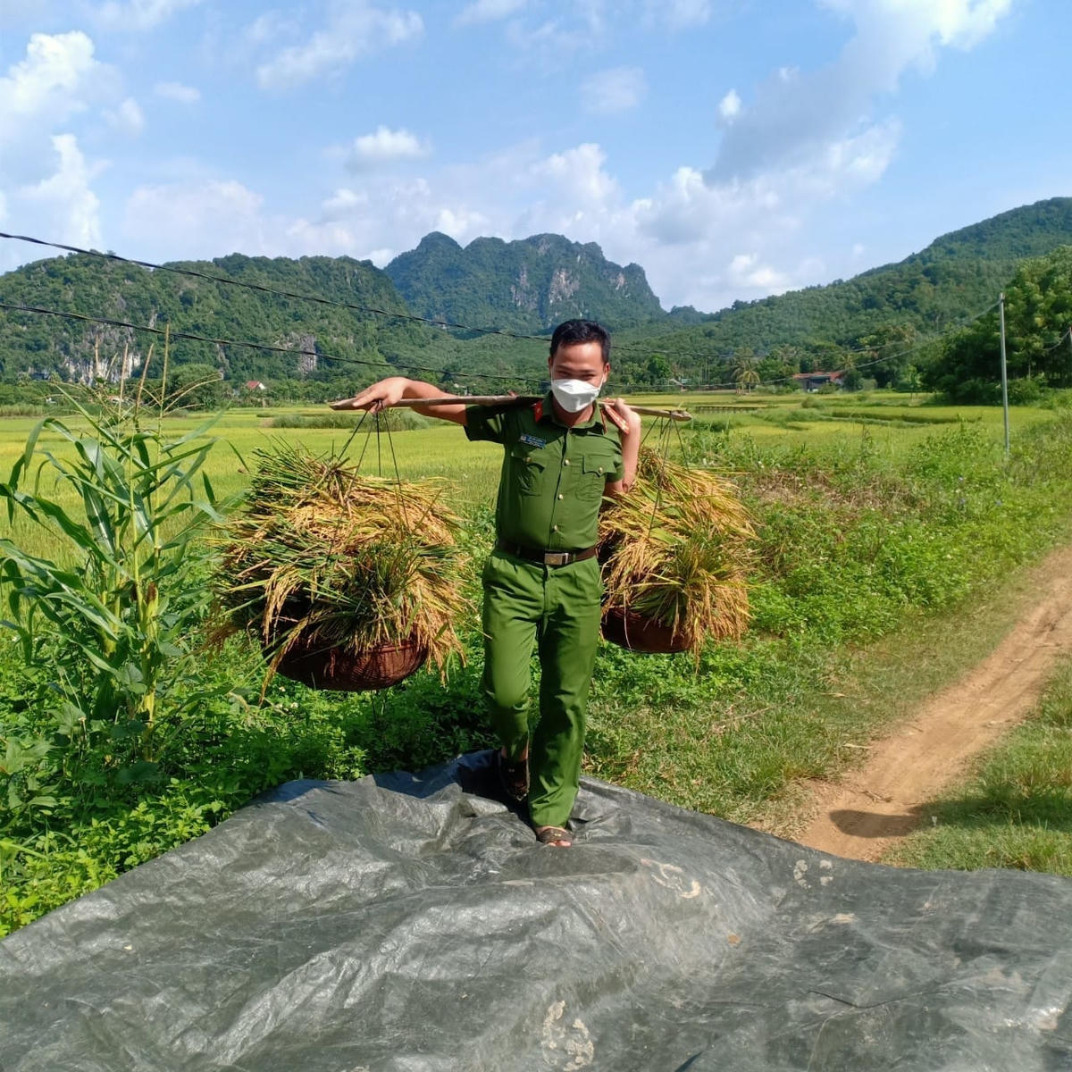 Những gánh lúa nặng trĩu trên vai người chiến sĩ Công an.