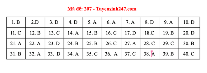Đáp án tham khảo đề thi Vật lý mã đề 207.