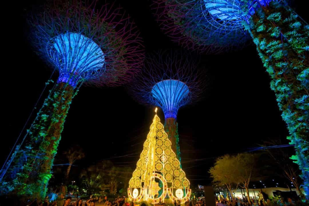  Cây thông Noel ở Singapore. 