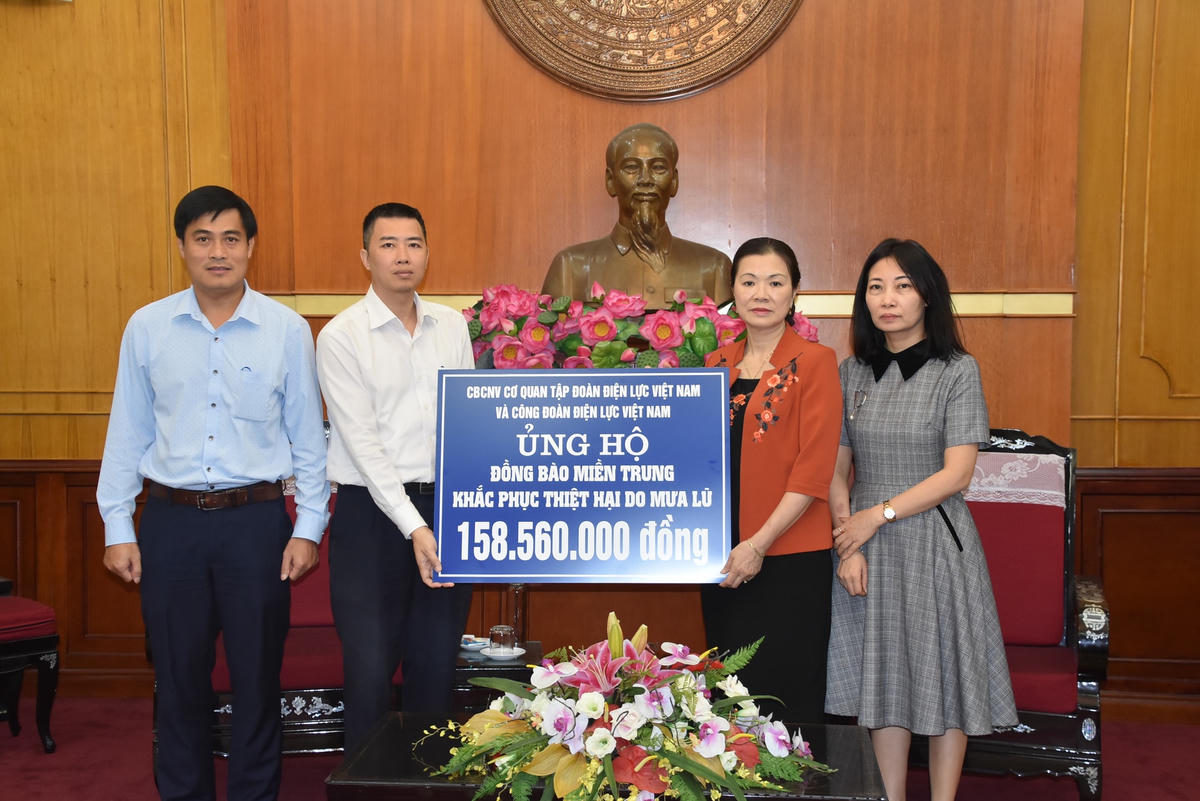 Phó Chủ tịch Trương Thị Ngọc Ánh tiếp nhận ủng hộ từ Tập đoàn Điện lực Việt Nam.