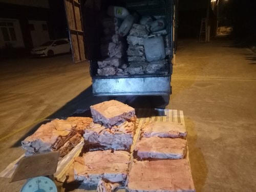 Gần 1 tấn bì lợn hiện đã bốc mùi hôi thối.
