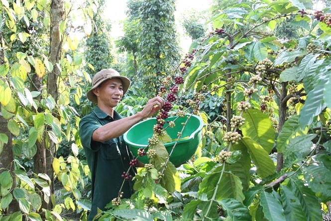Đời sống người dân từng bước được nâng lên.