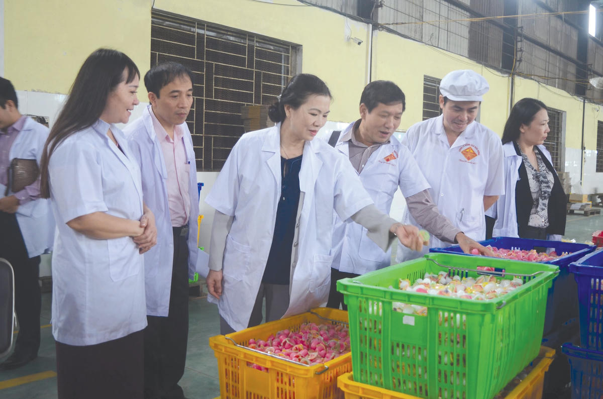 Phó Chủ tịch UBTƯ MTTQ Việt Nam Trương Thị Ngọc Ánh (thứ 3 từ trái sang) kiểm tra quy trình sản xuất tại Công ty Bánh kẹo Bảo Hưng, tỉnh Thái Bình. Ảnh: Duy Hưng.