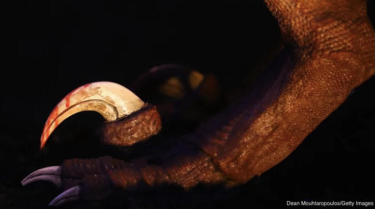 Bí ẩn về 11 cuộc đại tuyệt chủng trên Trái Đất, tiên đoán về sự kiện thứ 12