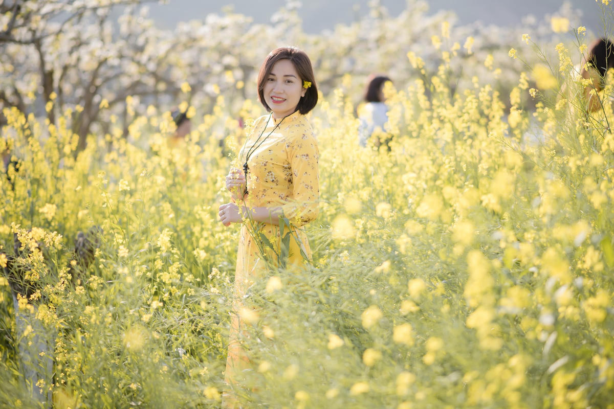 Ngoài những địa điểm du lịch tại Bắc Hà mùa xuân trên, du khách còn có thể ghé đến tham quan một số khu du lịch khác lý tưởng xung quanh như: Đồng hoa tam giác mạch ở Lầu Thí Ngài, đền Bắc Hà…