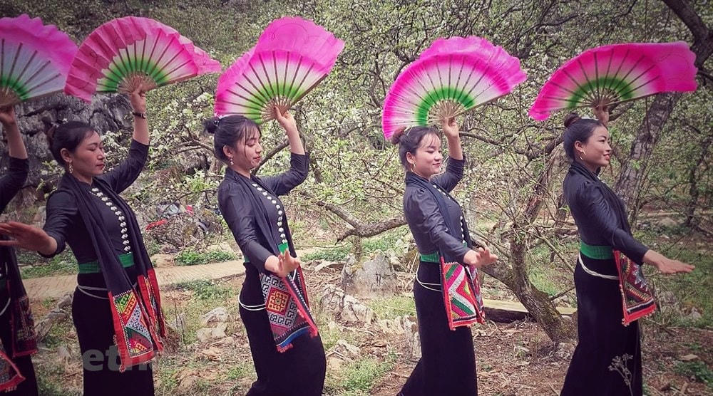 Điệu múa xòe rộn ràng dưới tán mận đang bung nở khoe sắc. (Ảnh: Xuân Mai/Vietnam+).