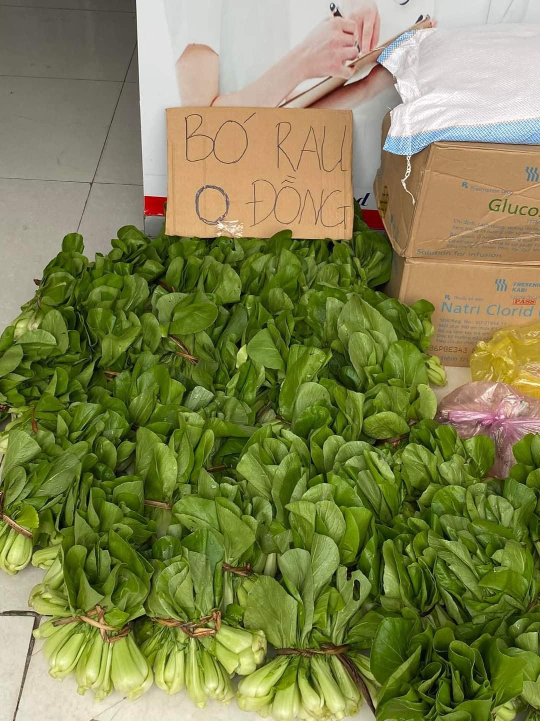 Những bó rau xanh được hỗ trợ miễn phí cho người đang cách ly tại huyện Hậu Lộc.