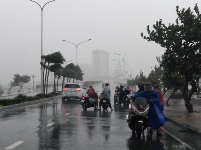 Bão số 12 gây mưa to và gió rất mạnh tại khu vực huyện Vạn Ninh, Khánh Hòa.