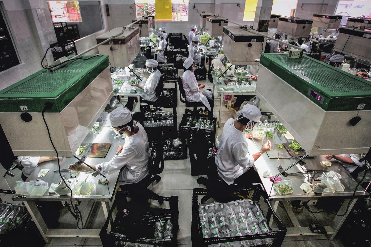 Dịch Covid-19 ảnh hưởng nặng nề đến hoạt động sản xuất của doanh nghiệp.