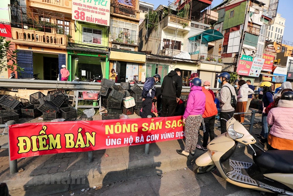 Bên cạnh nỗ lực tháo gỡ của cơ quan chức năng, với tinh thần tương thân, tương ái, nhiều tổ chức, cá nhân cũng tích cực vào cuộc để giúp nông dân. (Ảnh: Minh Sơn/Vietnam+).