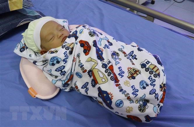 Em bé đầu tiên ra đời bằng kỹ thuật thụ tinh trong ống nghiệm tại bệnh viện Sản-Nhi Hưng Yên. (Ảnh: Đinh Tuấn/TTXVN).