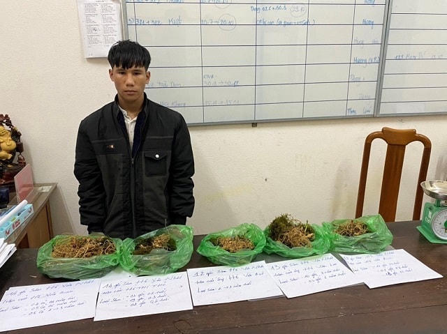 Tang vật trộm Sâm Ngọc Linh của đối tượng Nhất.