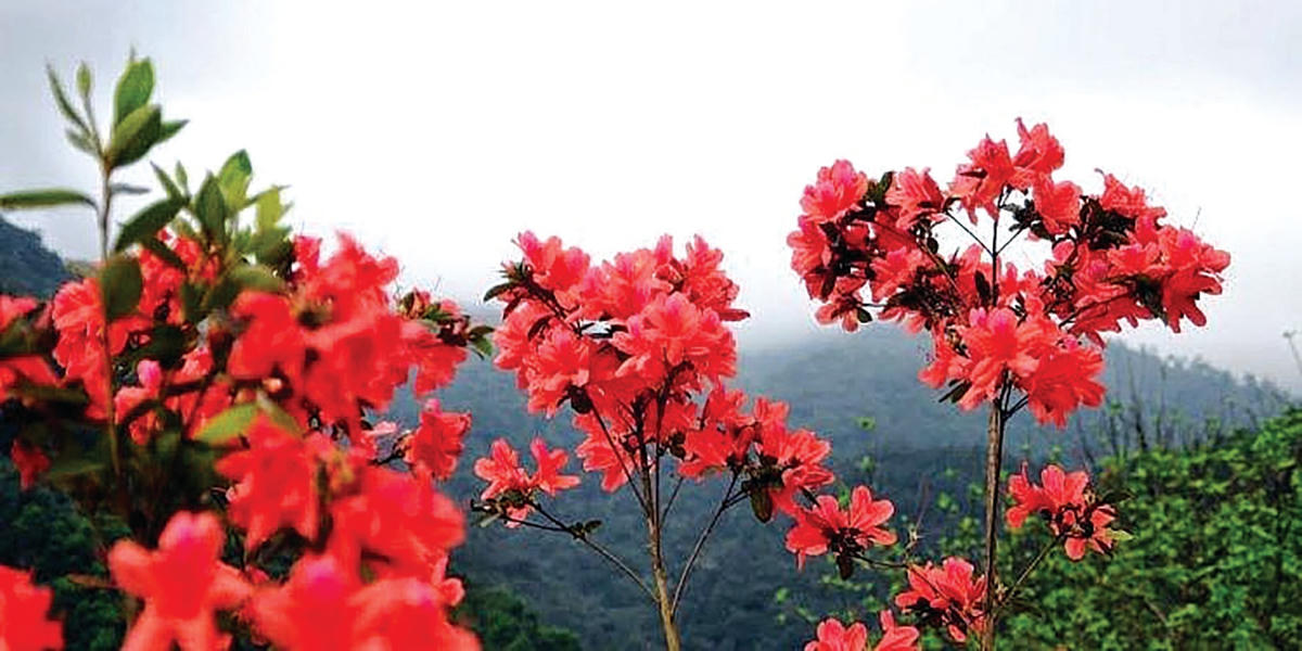 Chinh phục Ky Quan San