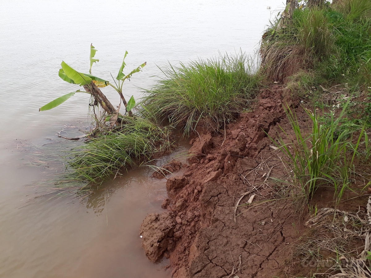 Khai thác cát dữ dội làm thay đổi dòng chảy, sụt lở bờ sông.