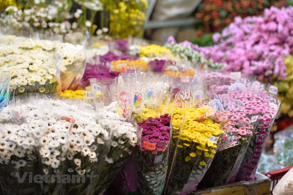 Đây cũng là thời điểm nhiều người dân lựa chọn để đi chợ vì sẽ kiếm được hoa tươi, giá ưng ý. Ảnh: Minh Sơn/Vietnam+.  