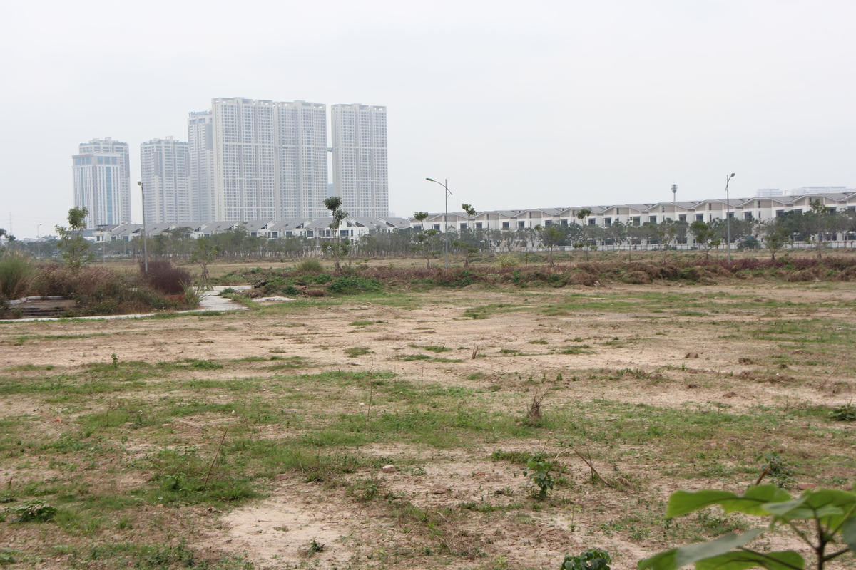 Còn bên trong chỉ là những khu đất trống bỏ hoang