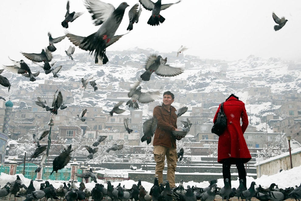 Cho chim bồ câu ăn bên ngoài đền Sakhi (Kabul) được hiểu như một khát vọng hòa bình.