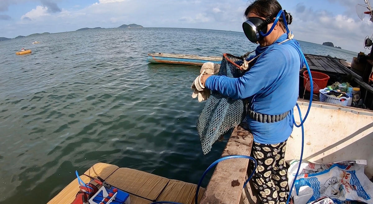 Chuẩn bị trước khi lặn.  