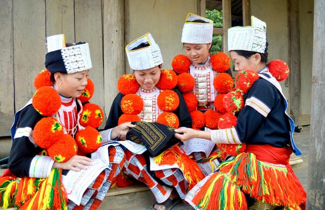 Hội đồng Thẩm định quy hoạch mạng lưới cơ sở VHTT