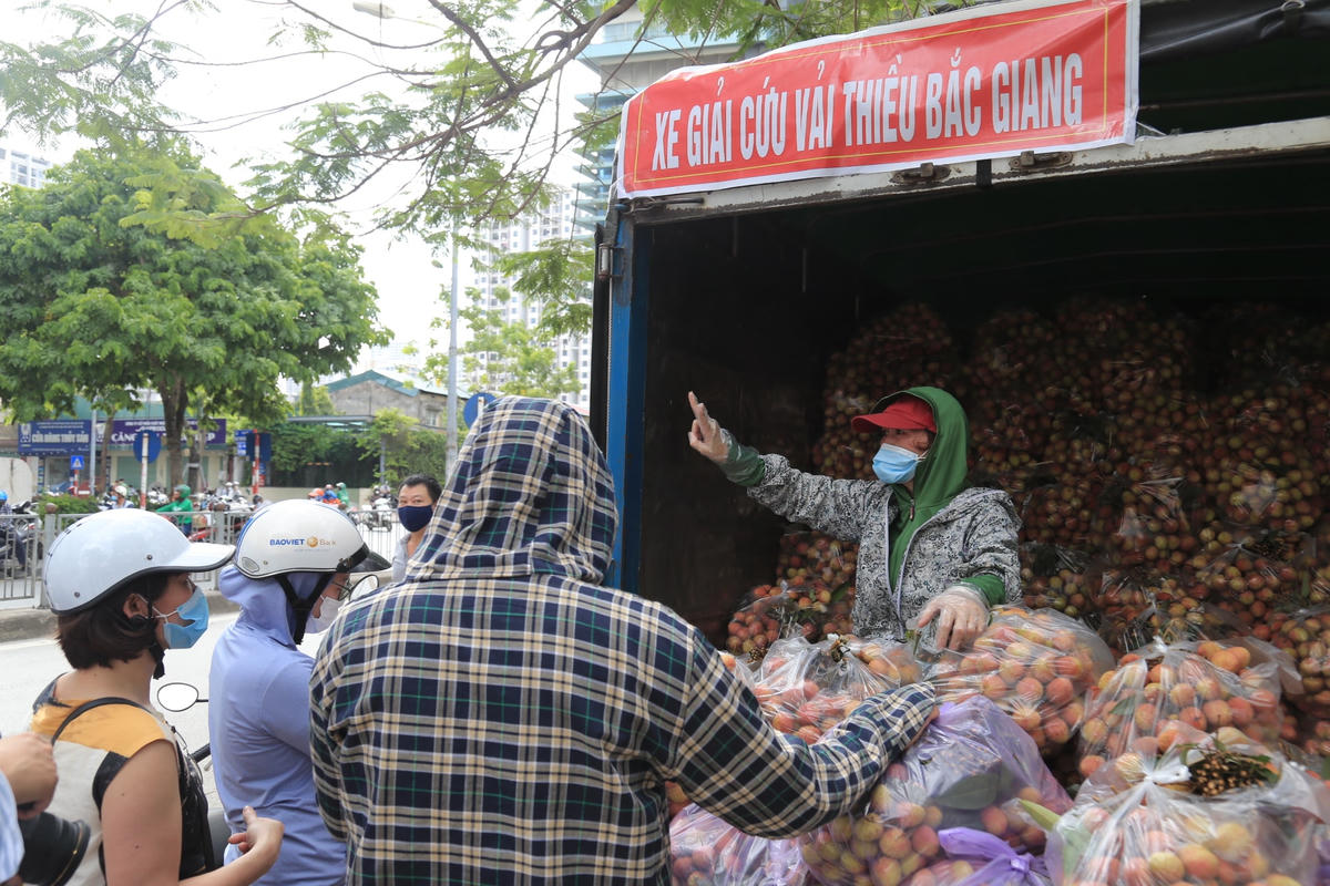 Các điểm giải cứu vải thiều Bắc Giang trên đường phố Hà Nội thu hút nhiều người tiêu dùng Thủ đô.