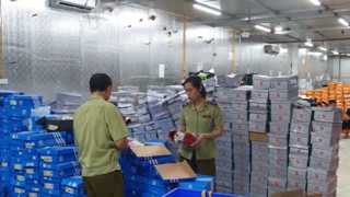 Hàng chục ngàn mặt hàng với chủng loại, nhãn mác nổi tiếng được phát hiện, bắt giữ tại kho hàng của Trần Thành Phú.