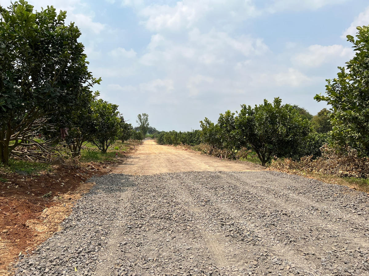 Khu đất thuộc sở hữu của ông Nguyễn Công Khanh, là thửa đất số 187, tờ bản đồ số 9 là đất trồng cây hằng năm. Hiện thửa đất này cũng được chủ đất tiến hành làm đường giao thông.