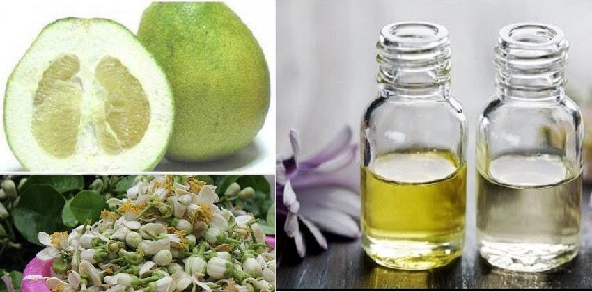 Vào mùa này có thể chưng cất hoa bưởi làm nước hoa hay dùng nó để gội đầu, tắm rửa, xông hơi đều rất tốt.