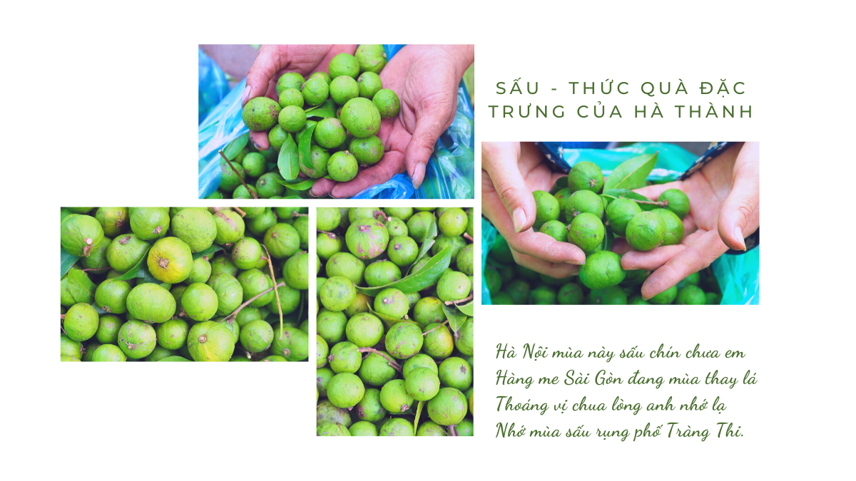 Quả sấu - thức quà đặc trưng của Hà Thành.