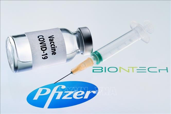 Vaccine ngừa Covid-19 của Pfizer/BioNtech. Ảnh: AFP/TTXVN.