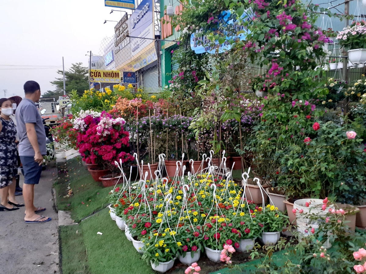 Hoa Tết xuống phố đang tạo không khí mới sau một thời gian dài TP HCM căng mình chống dịch bệnh.