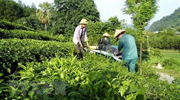 Những ngày tháng Tám trên quê hương cách mạng Tân Trào lịch sử