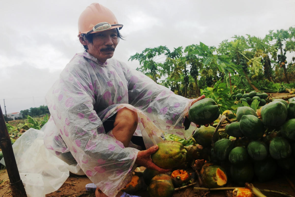 Nỗi đau rơi lệ của ông Nguyễn Năm.