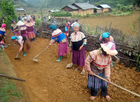 Tích cực tham gia phong trào chung sức xây dựng nông thôn mới.