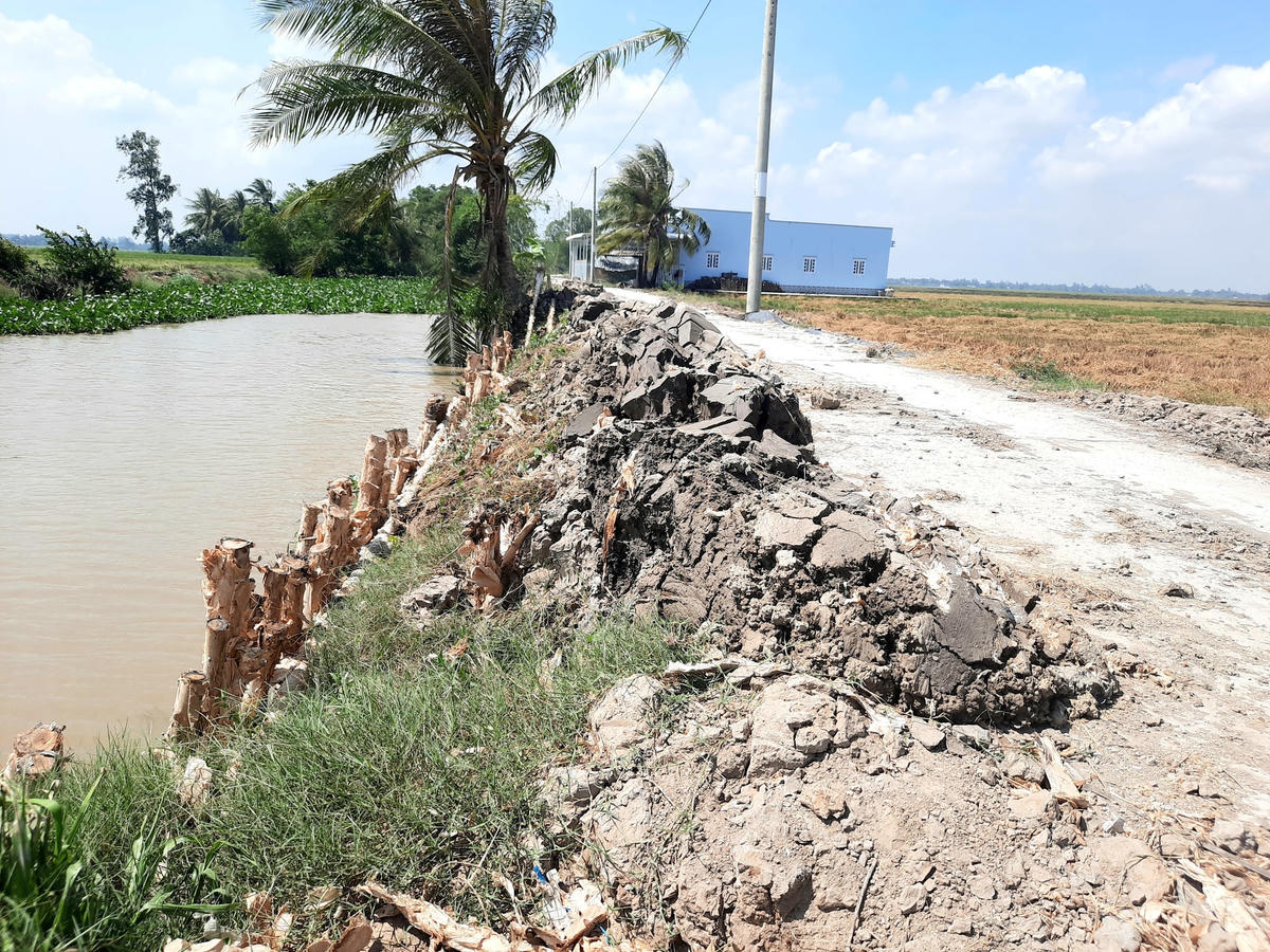 Lãnh đạo huyện Hoà Bình yêu cầu đơn vị thi công đóng cừ tuyến giao thông Báo Đại Đoàn Kết phản ánh.