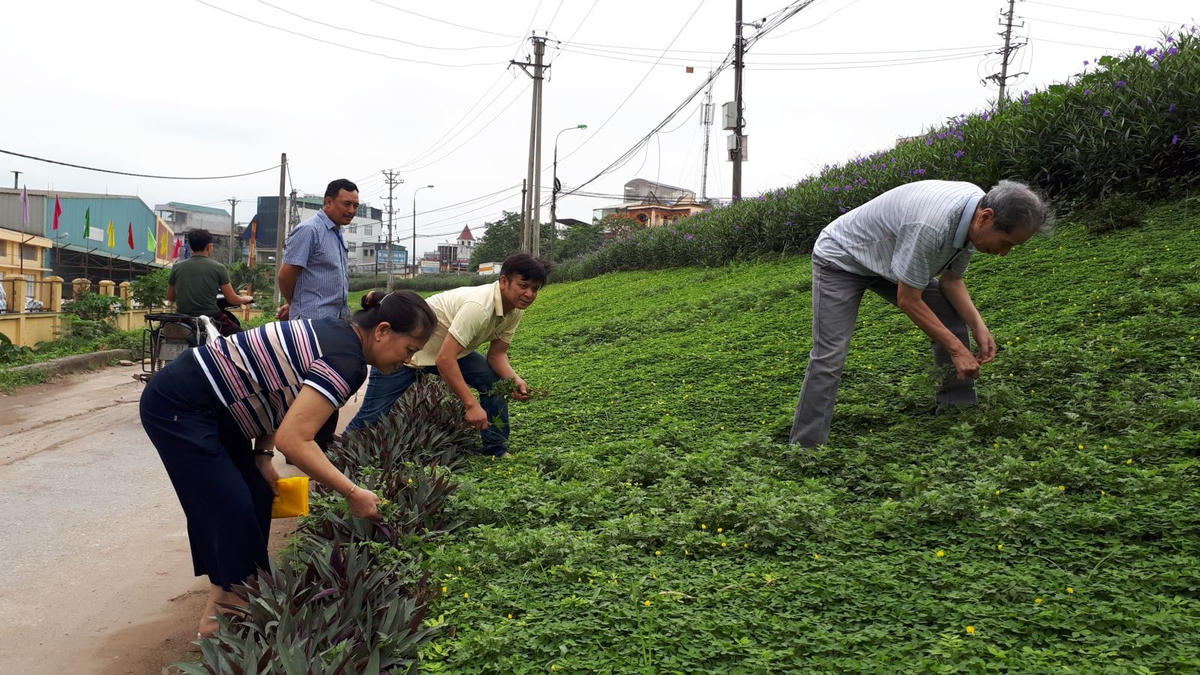 Người dân chăm sóc hoa dưới mái đê Nguyễn Khoái.