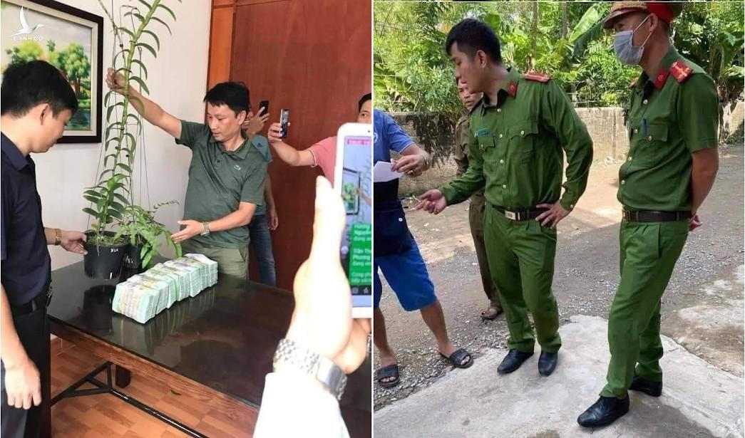 Cơ quan chức năng huyện Quỳnh Lưu (Nghệ An) bắt nhóm đối tượng lừa đảo bán lan phi điệp đột biến đến từ Hòa Bình.