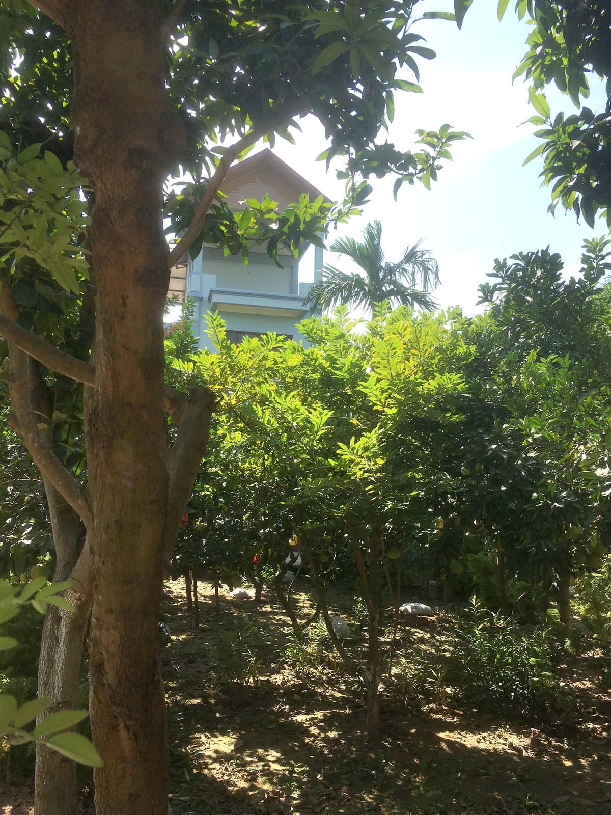 Cổng vào khu đất ông Minh chiếm làm nhà ở. 