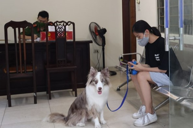 Chị H. dắt chó đi dạo bị lực lượng chức năng yêu cầu về trụ sở làm việc. Ảnh Công an cung cấp.