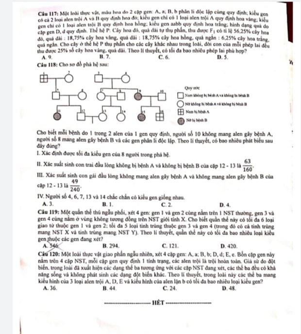 Gợi ý đáp án môn Sinh học kỳ thi Tốt nghiệp Trung học phổ thông 2020