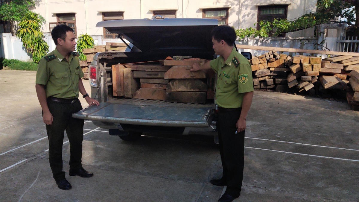 Lực lượng chức năng tạm giữ xe ô tô cùng những phách gỗ lậu.