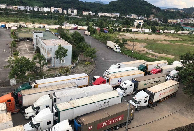 Hàng trăm xe container ùn ứ tại Cửa khẩu Quốc tế đường bộ số II Kim Thành khi mùa vụ thanh long. Ảnh: Quang Lộc.  