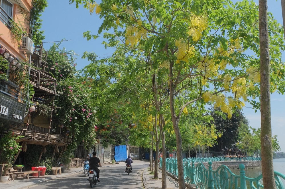 Hà Nội rực rỡ sắc hoa mùa hạ