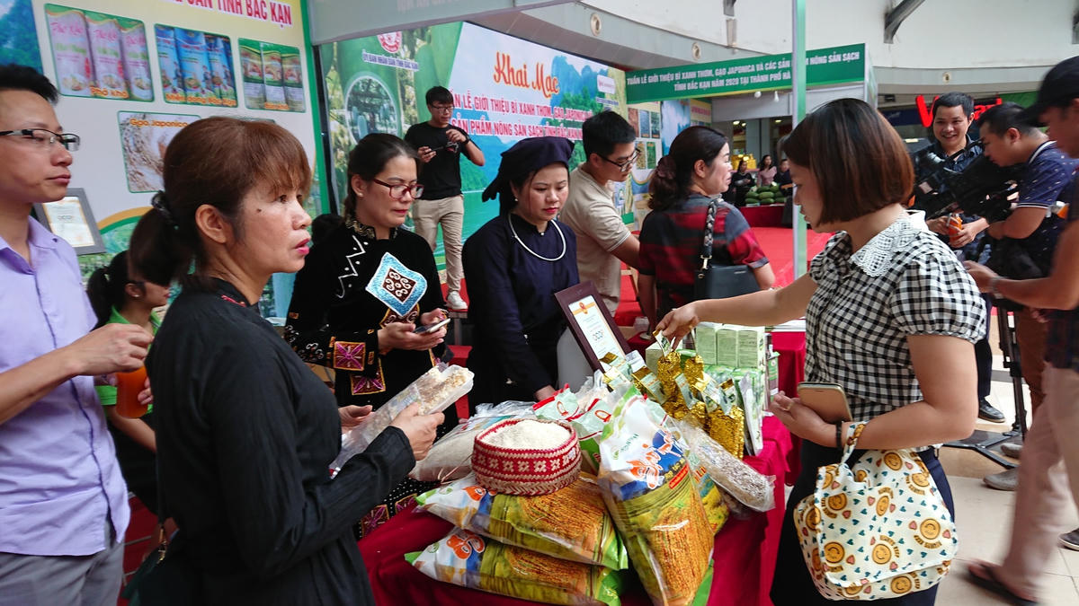 Khách tới tham quan gian hàng ngày khai mạc.
