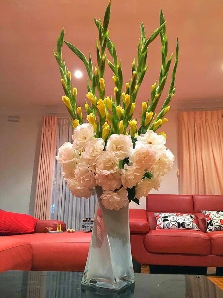 Hoa cho mùa đông ấm áp.