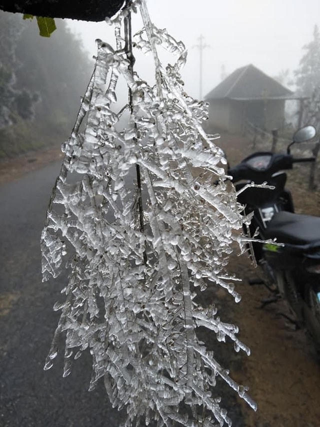 Sa Pa 'đông cứng' trong băng tuyết, đỉnh Khau Phạ cũng 'hóa đá'