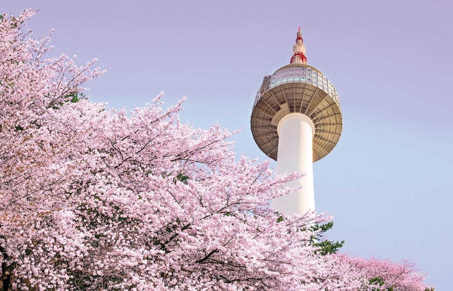 Vietjet thông báo kế hoạch mở lại đường bay quốc tế