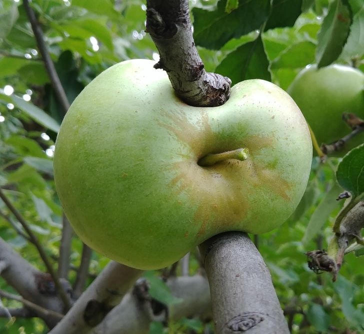 [ẢNH] 18 bức ảnh đẹp mắt&nbsp;'sáng tạo' trong tự nhiên&nbsp;